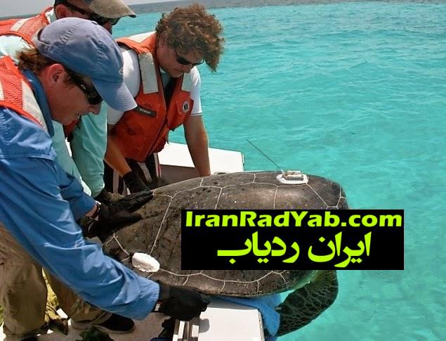 جی پی اس های دریایی